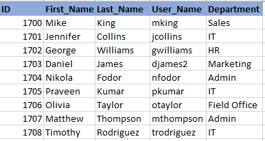 A raw excel file